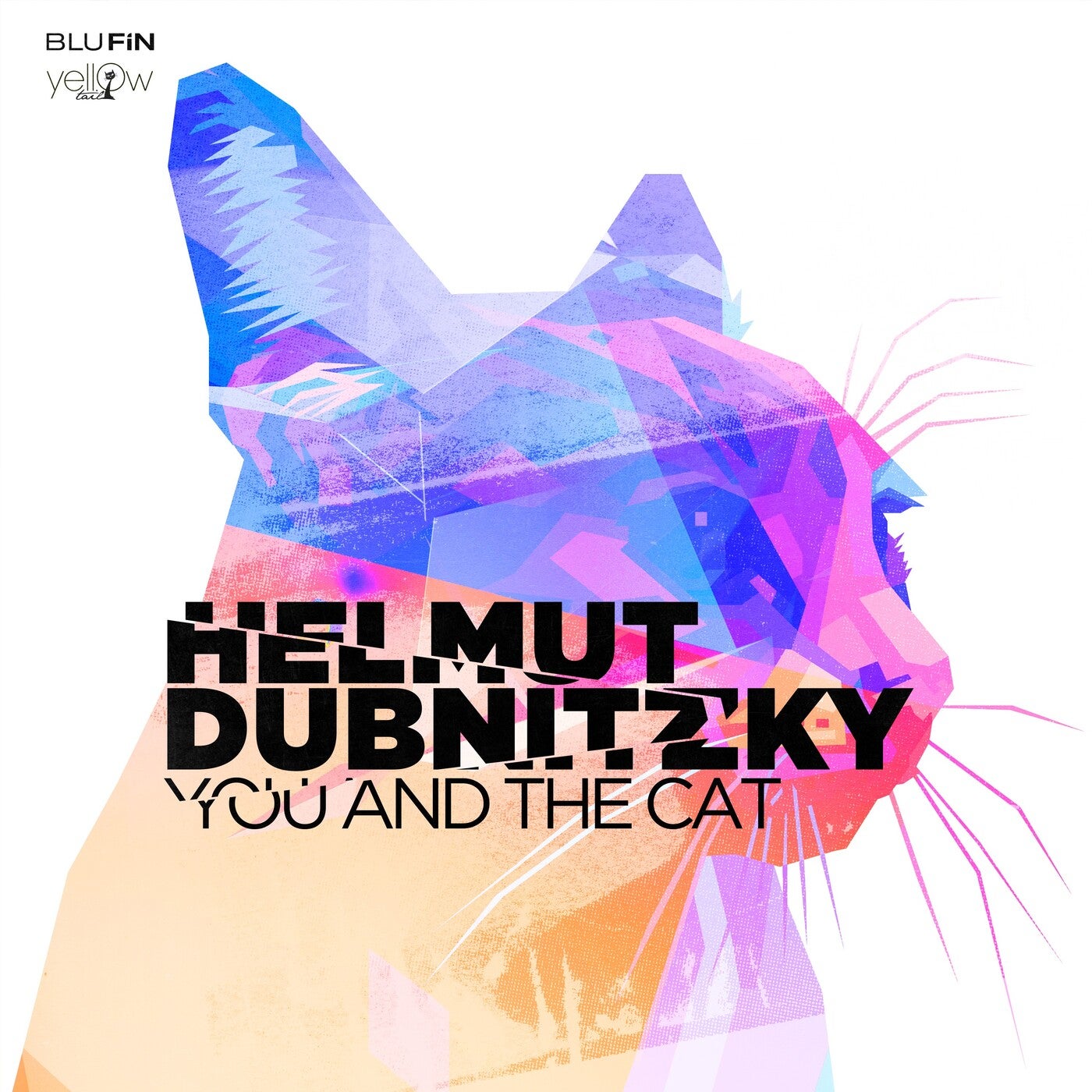Helmut Dubnitzky – You and the Cat [BF331]